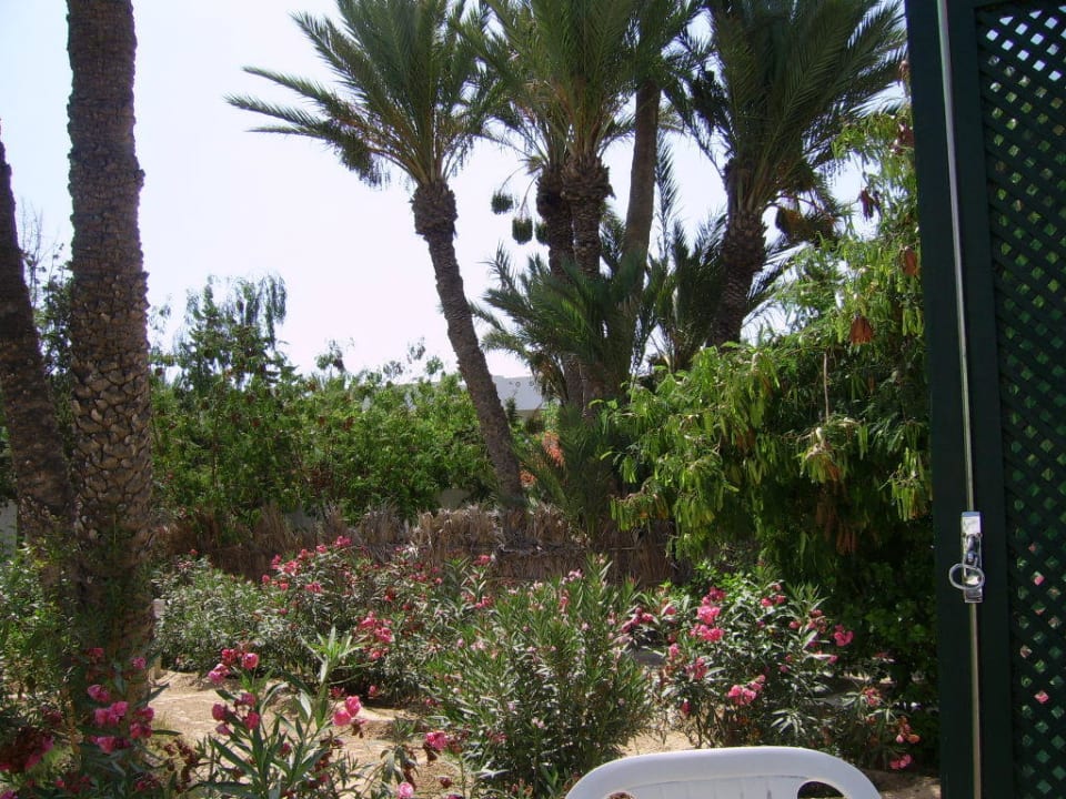 Gartenanlage Hotel Sangho Club Zarzis