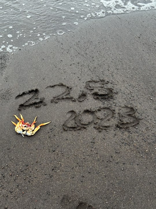 Strand Hotel Riu Arecas - Adults only