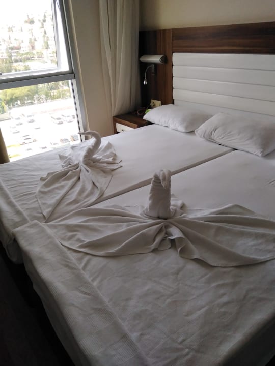 Zimmer Dizalya Palm Garden