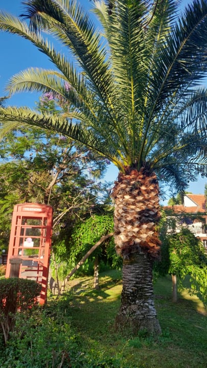 Gartenanlage Sunrise Resort Hotel