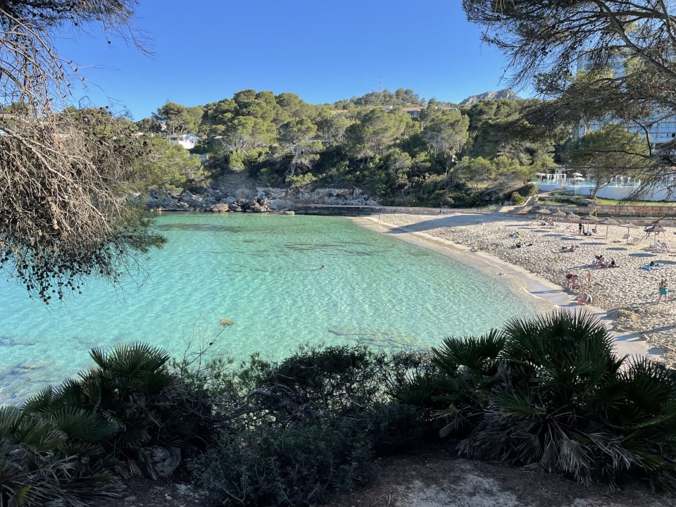 Strand Iberostar Waves Pinos Park