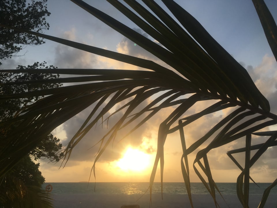 Strand Meeru Maldives Resort Island