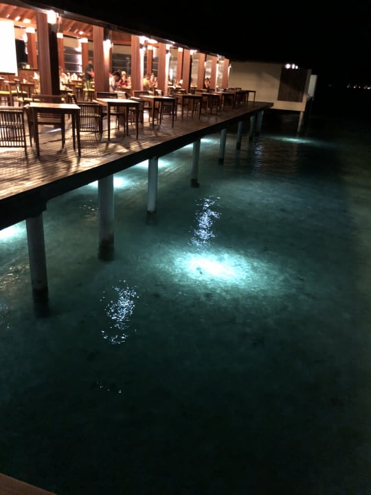 Gastro Summer Island Maldives