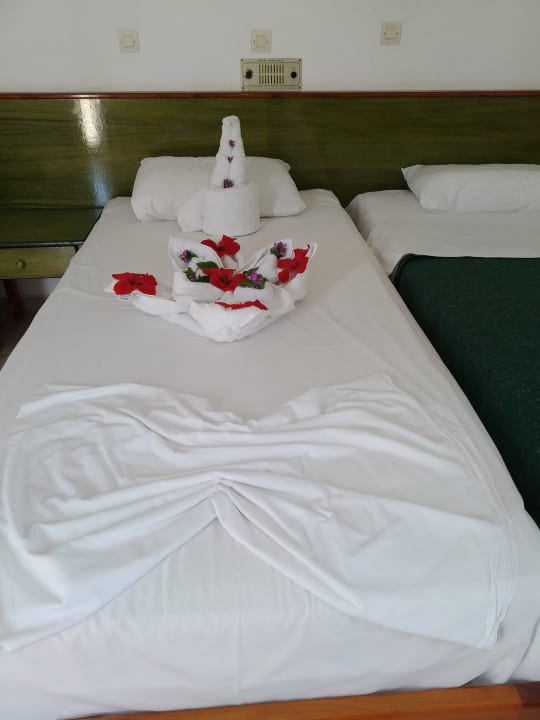 Zimmer Summer Village of Hippokrates - Adults only