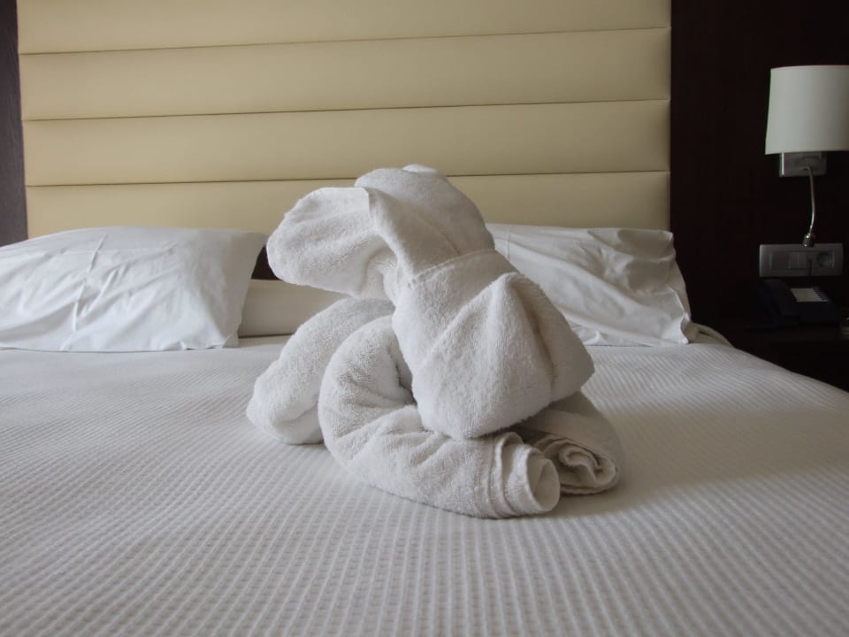 Króliczek :) TUI BLUE Oceanis Beach and Spa Resort