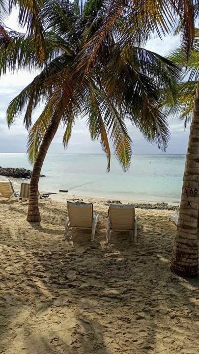 Ausblick Summer Island Maldives