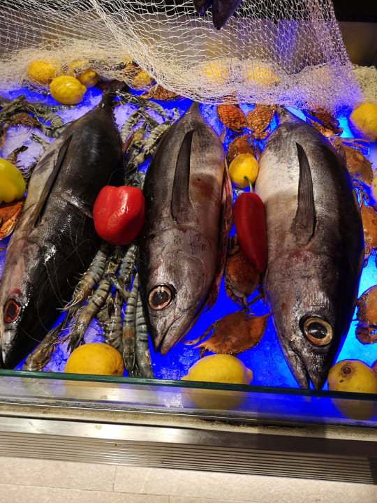 Gastro Limak Lara Deluxe Hotel & Resort