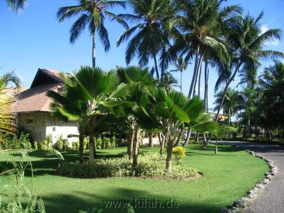 Punta Cana Palladium Hotelanlage Grand Palladium Select Bávaro Resort & Spa