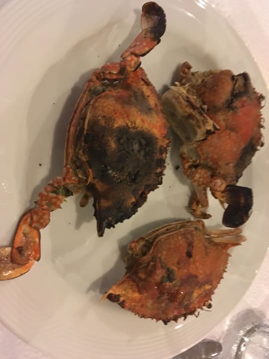 Gegrillte Krebse Hotel Gorgonia Beach Resort