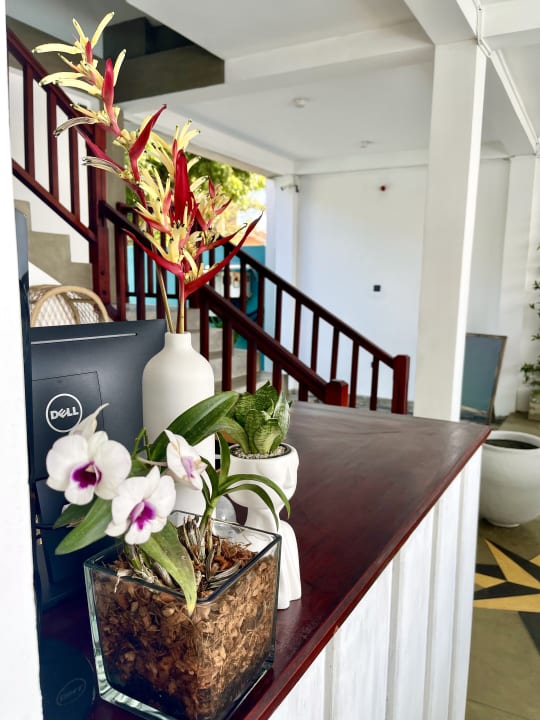 Lobby Smeralda Beach Hotel Dikwella