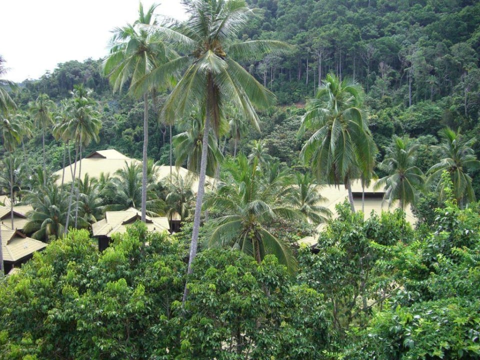 Ausblick The Taaras Beach & Spa Resort
