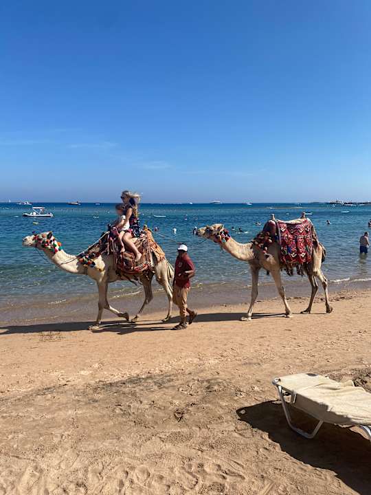 Strand Jaz Makadi Oasis Resort