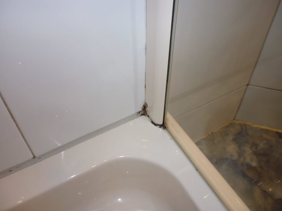 Schimmel in der Dusche City Apartment am Schloßberg