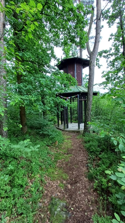 Gartenanlage Spirit & SPA Hotel Birkenhof am Elfenhain