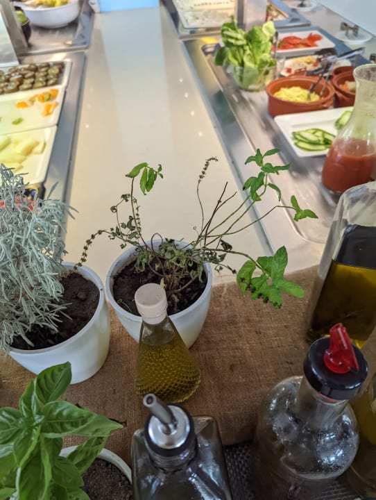 Gastro Asterias Beach Resort