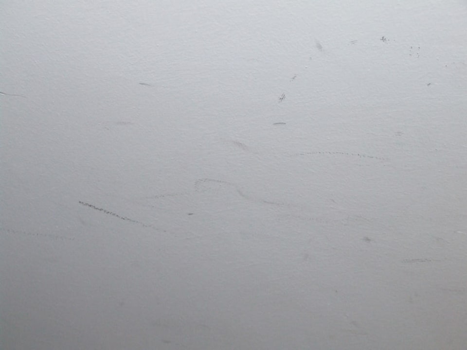 Flecken an den Decken HL Miraflor Suites Hotel