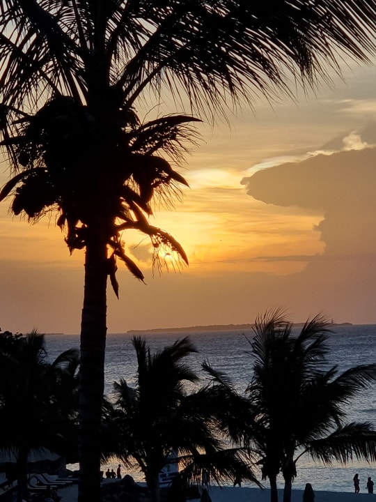 Ausblick Royal Zanzibar Beach Resort