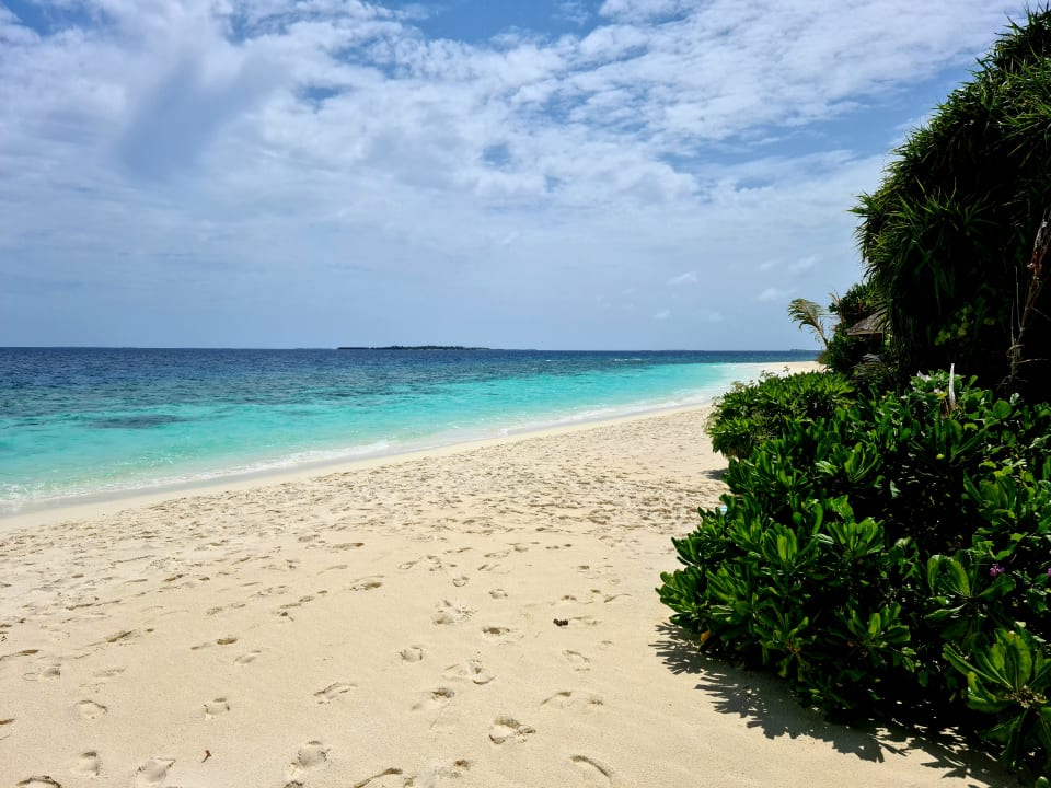 Strand Reethi Faru Resort
