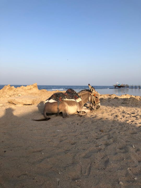 Sonstiges Sentido Akassia Beach