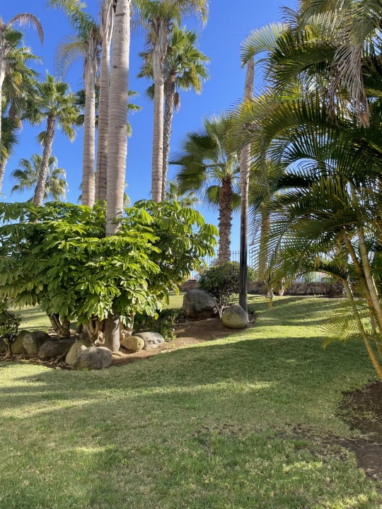 Gartenanlage Maspalomas Princess & Tabaiba Princess