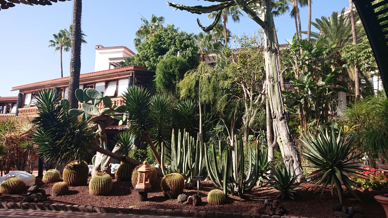 Gartenanlage Hotel Parque Tropical
