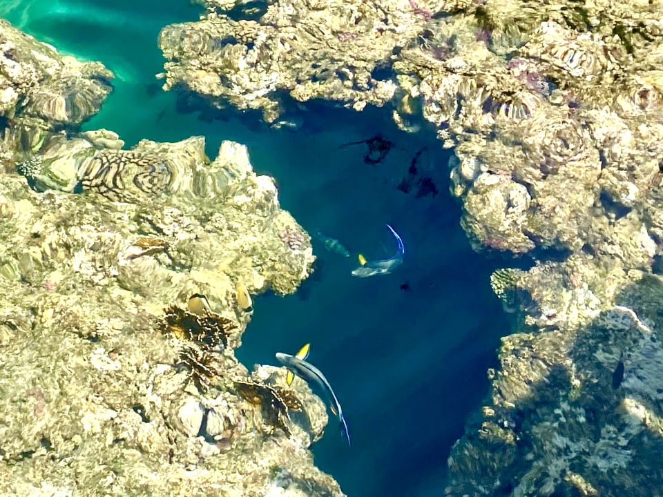 Strand Brayka Bay Resort