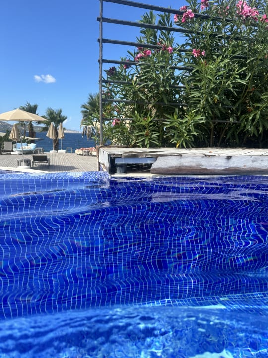 Pool The Plaza Bodrum