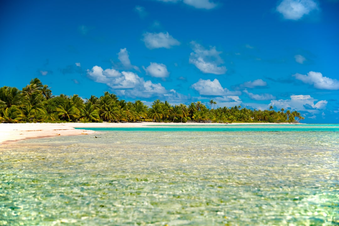Ausblick Tikehau Pearl Beach Resort