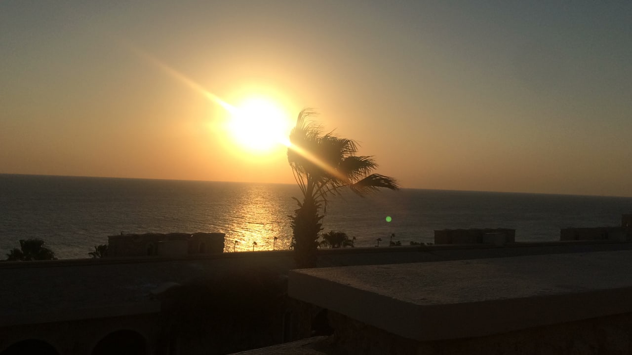 Ausblick Pickalbatros Citadel Resort