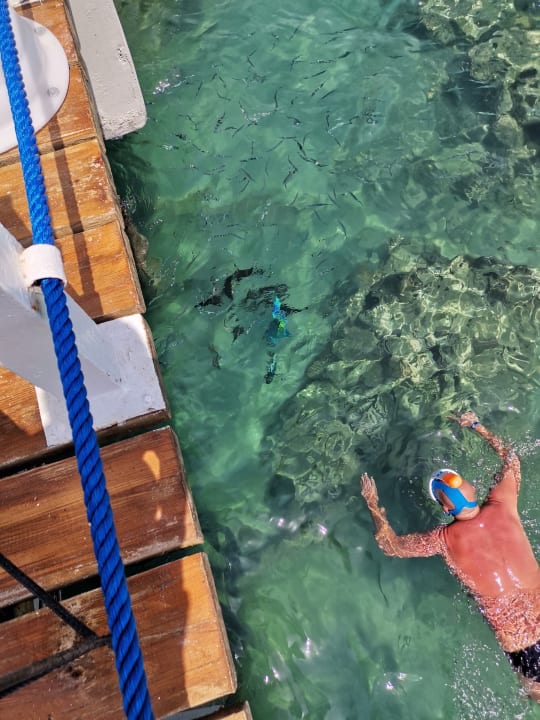 Strand Pickalbatros Alf Leila Wa Leila Resort - Neverland Hurghada