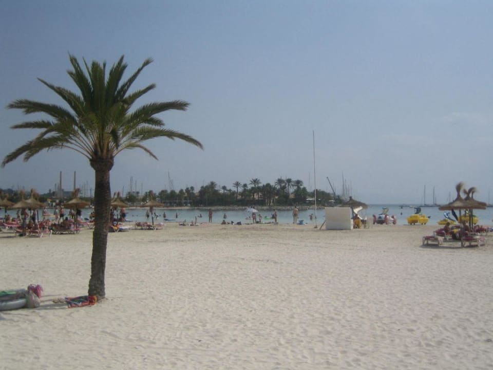 Strand am Hotel Zafiro Tropic