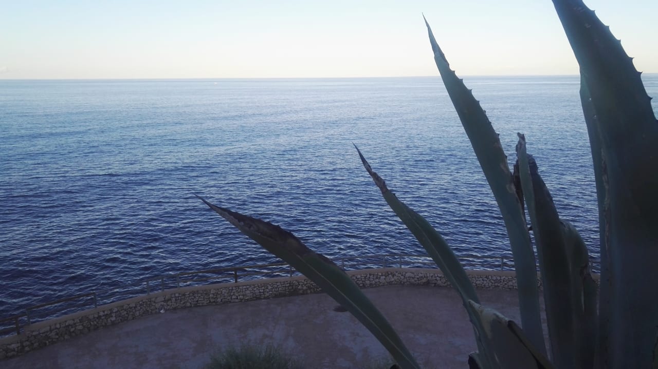 Ausblick HSM Calas Park