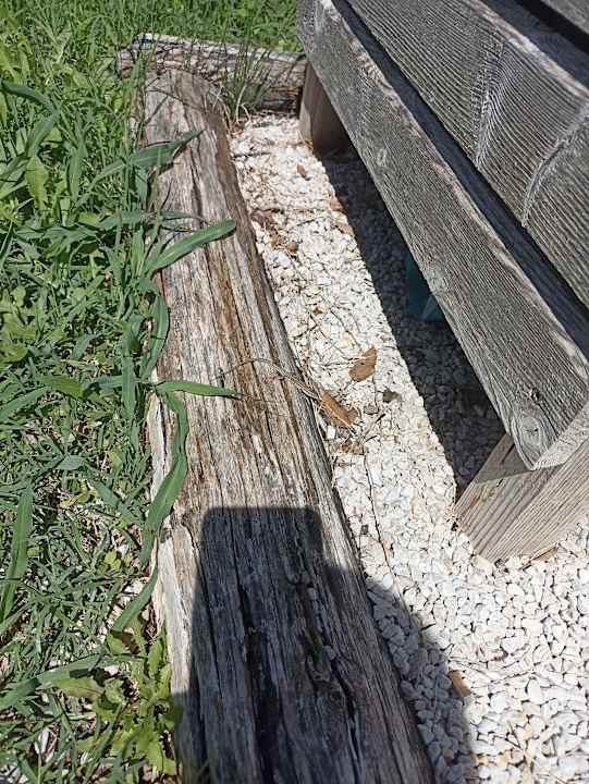 Gartenanlage Lino delle Fate - Eco Village Resort