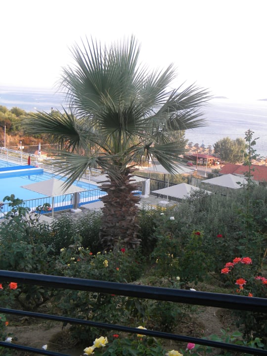 Schöne Bepflanzung Akrathos Beach Hotel