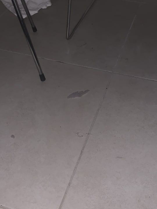 Zimmer AQI Pegasos World