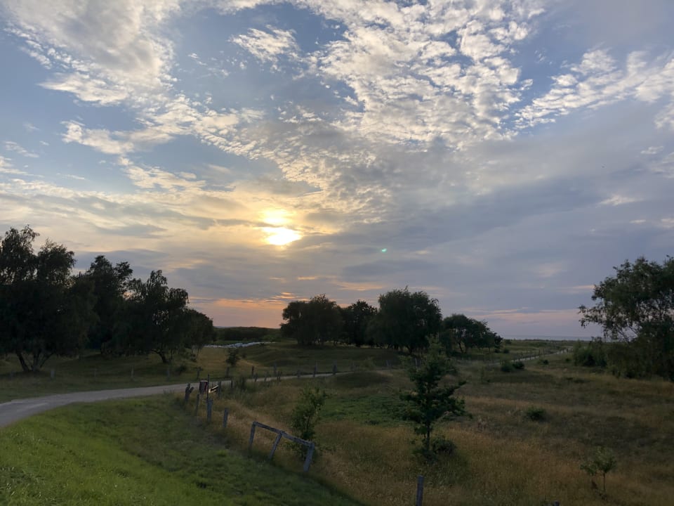 Gartenanlage Ferienwohnungen Ferienpark Weissenhäuser Strand