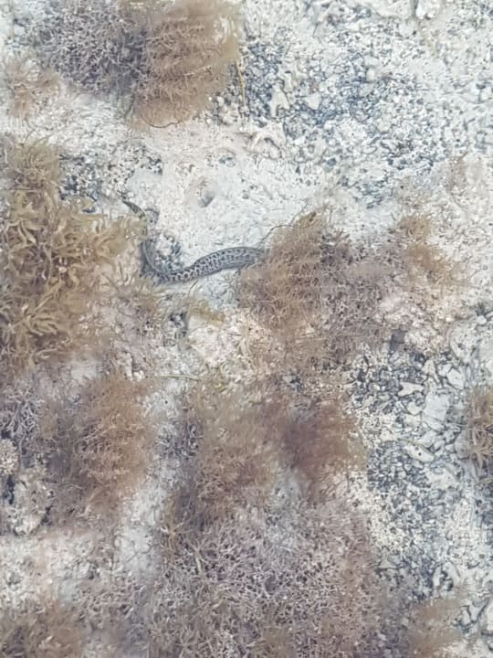 Strand Casa Mare Resort