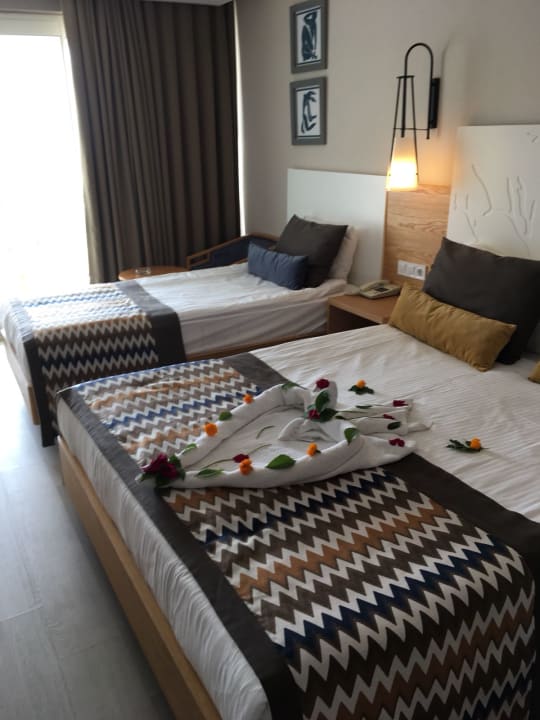 Zimmer Sidera Kirman Premium