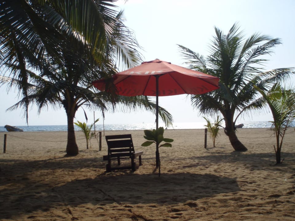 Immer schön zu sehen Goldi Sands Hotel
