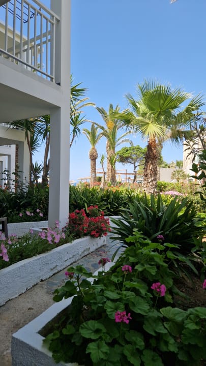 Ausblick HARPIN Happy Days Beach Hotel