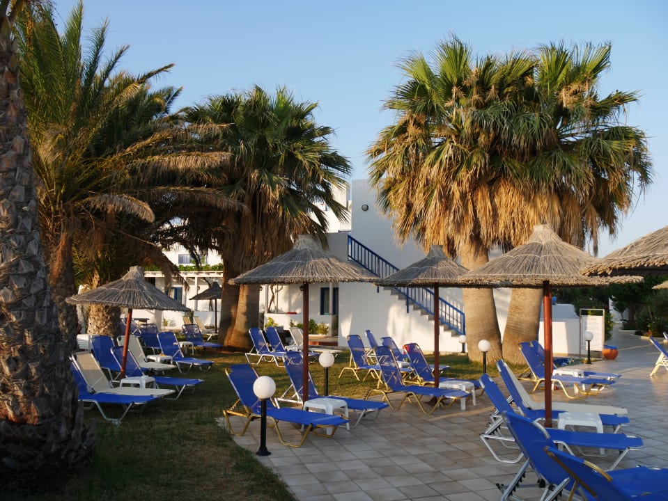 Liegen unter den Palmen am Pool Hotel Hara Ilios Village