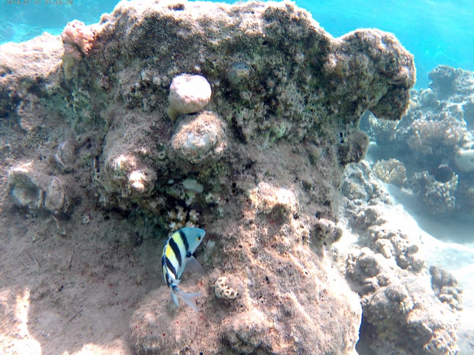 Sport & Freizeit Jaz Makadi Saraya Resort