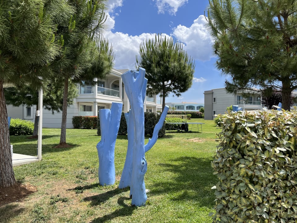 Gartenanlage TUI BLUE Lagoon Princess