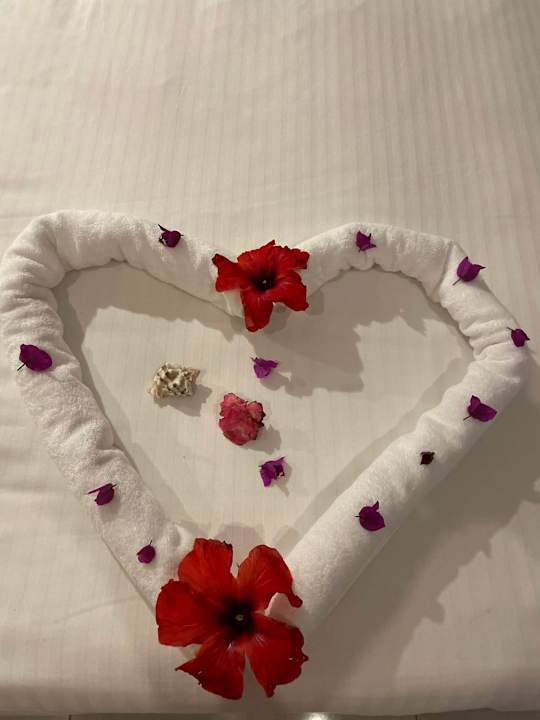 Zimmer Welcome Meridiana Djerba Hotel