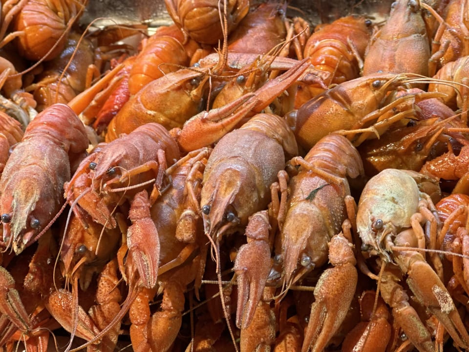 Gastro Diamond De Luxe Hotel & Spa