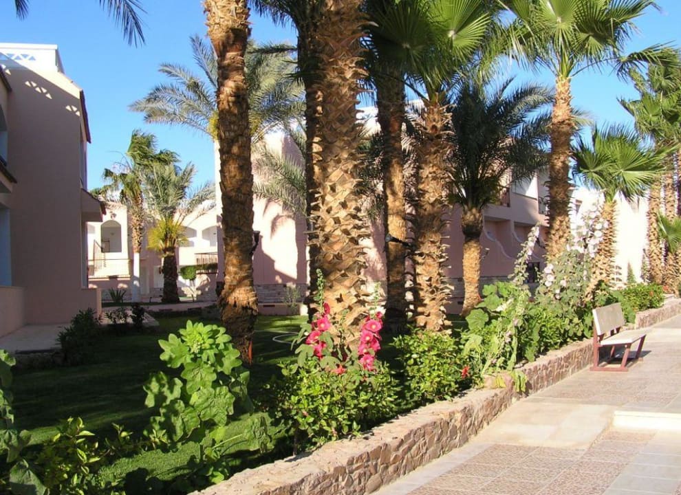Bungalow Beach Albatros Resort
