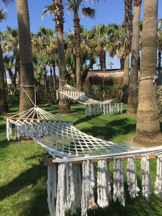 Gartenanlage Miramare Queen Hotel