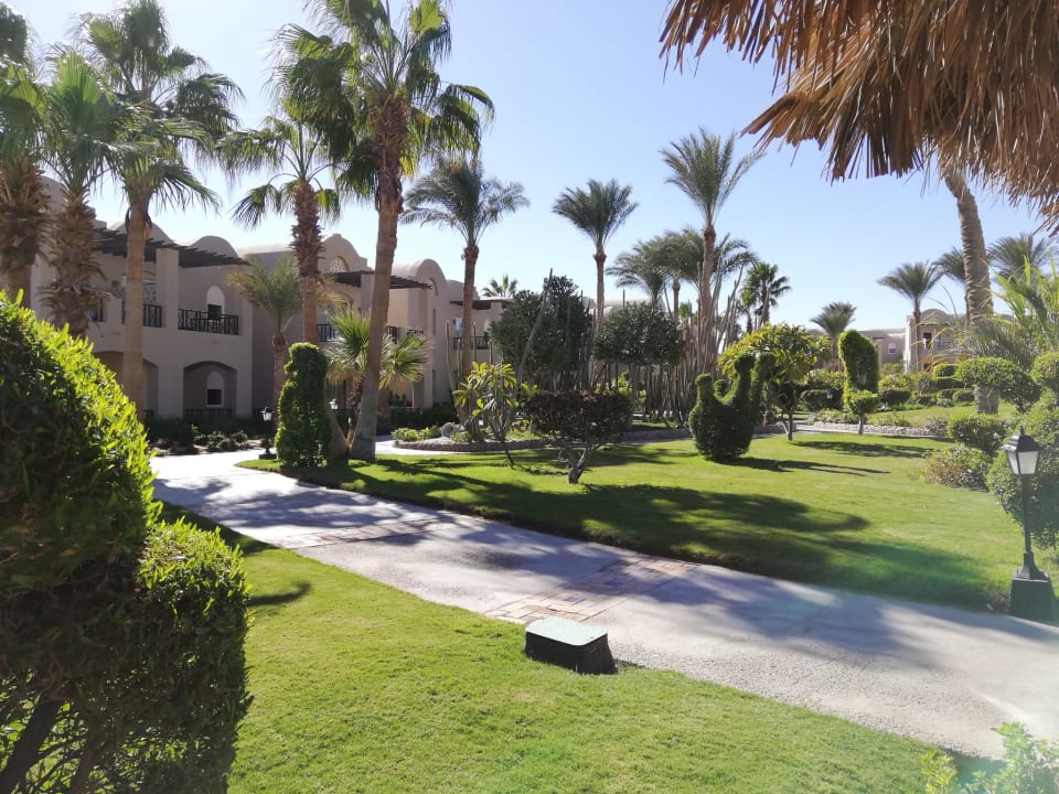 Gartenanlage Jaz Makadi Oasis Resort