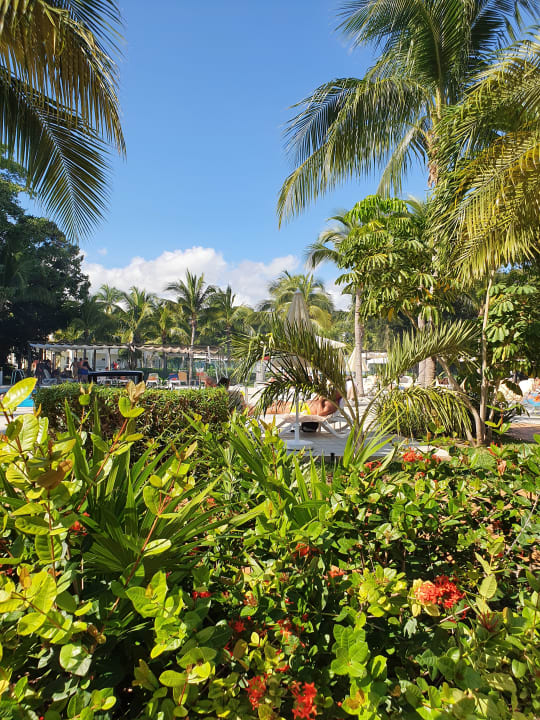 Gartenanlage Hotel Riu Tequila