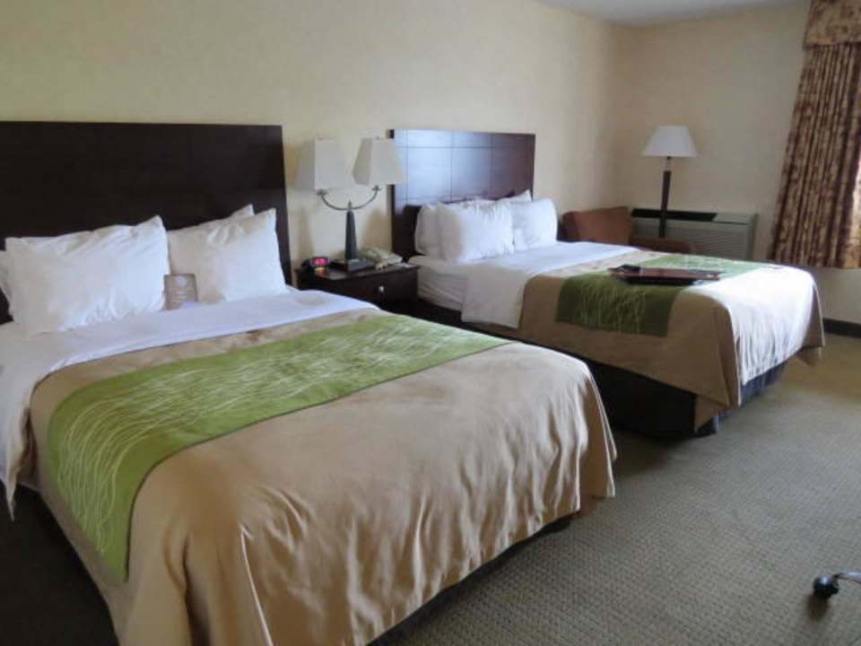 Betten einfach phantastisch bequem Hotel Comfort Inn Lansing